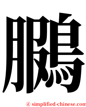 鵩 serif font