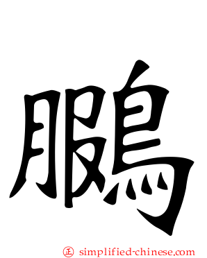 鵩