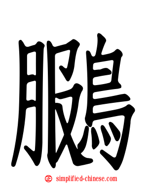 鵩