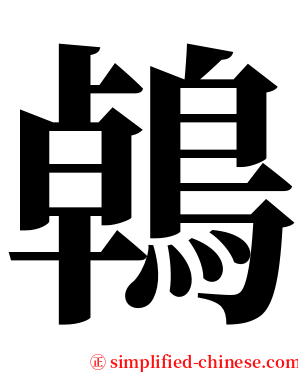 鵫 serif font