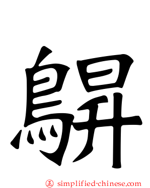 鵿