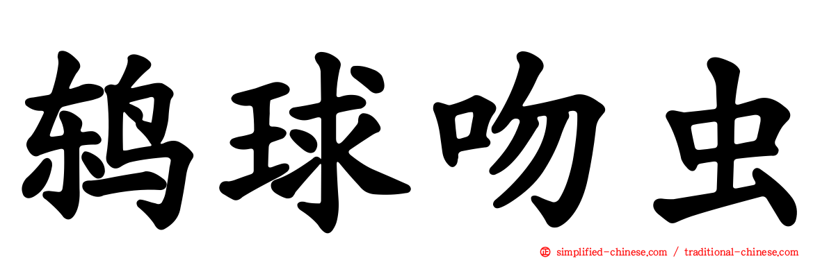 鸫球吻虫