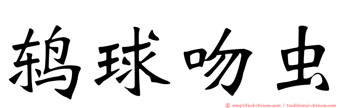 鸫球吻虫