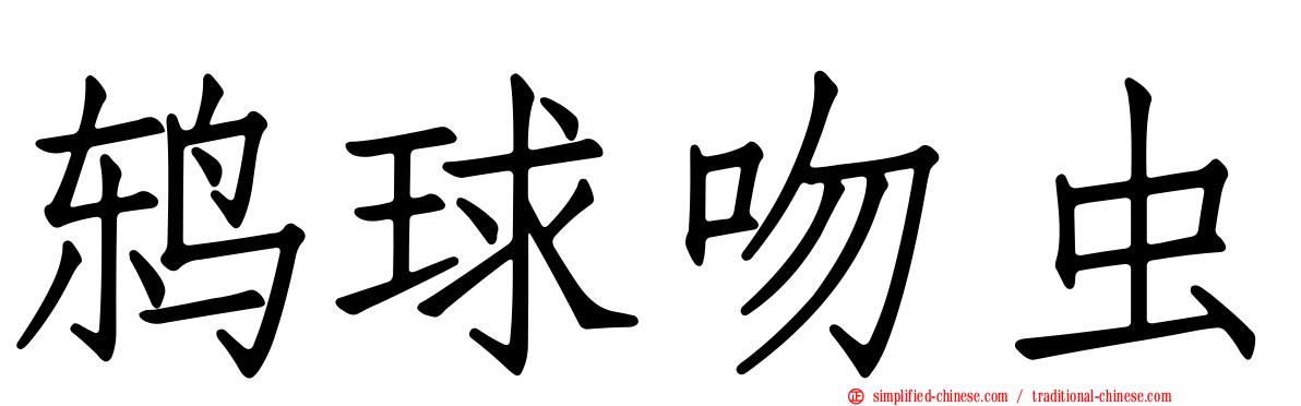 鸫球吻虫