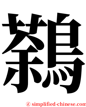 鷋 serif font