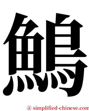 鷠 serif font