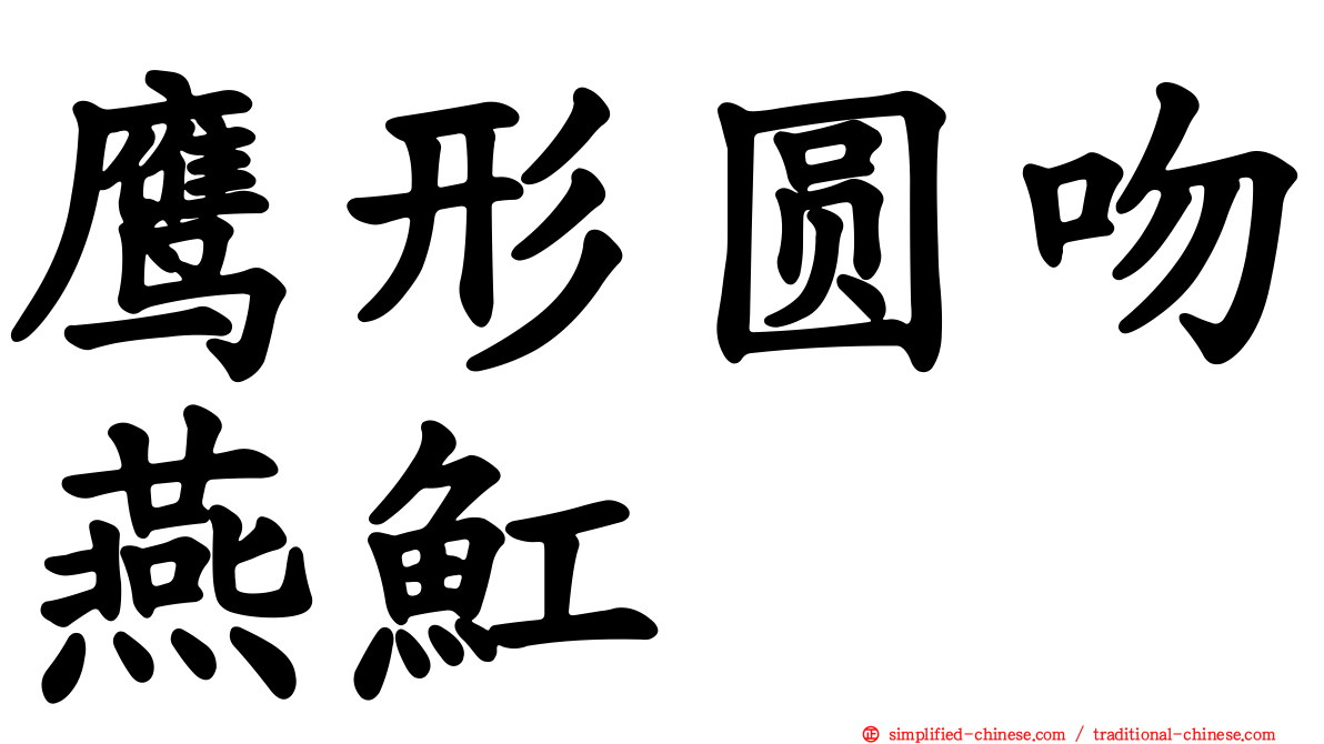 鹰形圆吻燕𫚉
