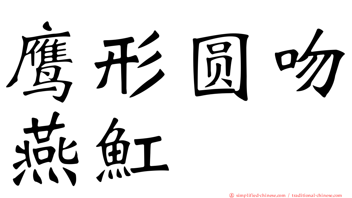 鹰形圆吻燕𫚉