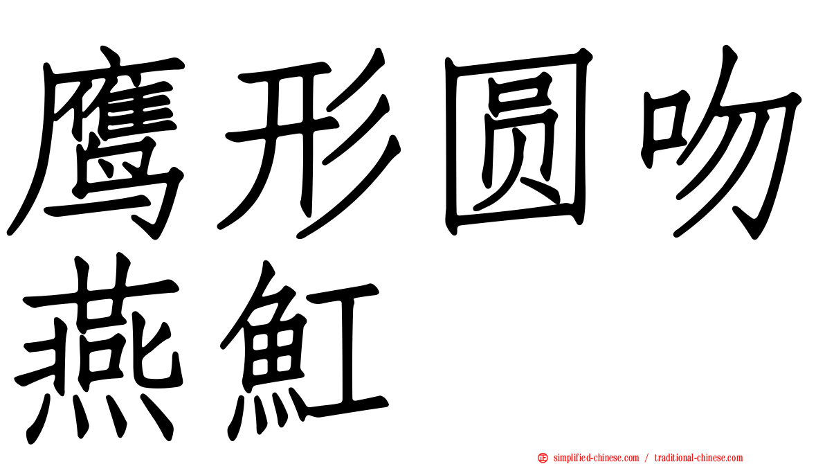 鹰形圆吻燕𫚉