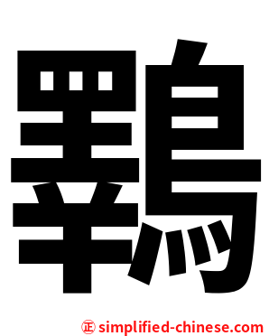 鸅