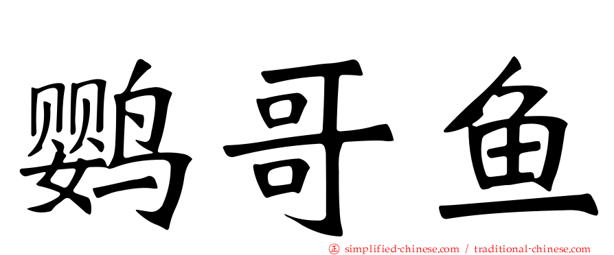 鹦哥鱼