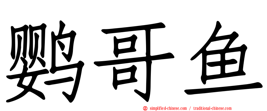 鹦哥鱼