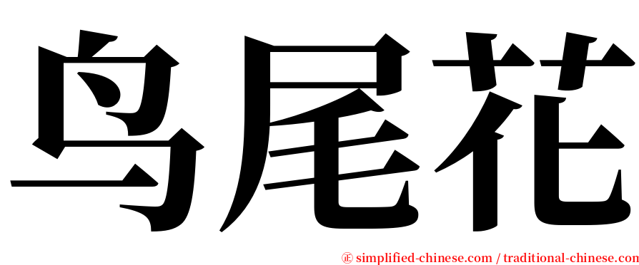 鸟尾花 serif font