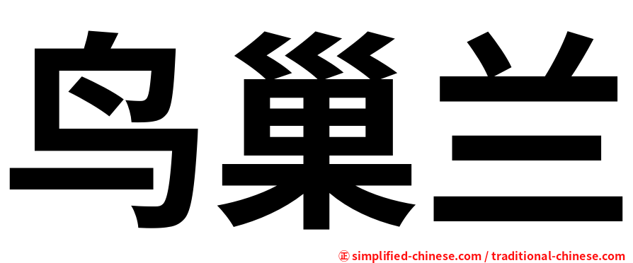 鸟巢兰