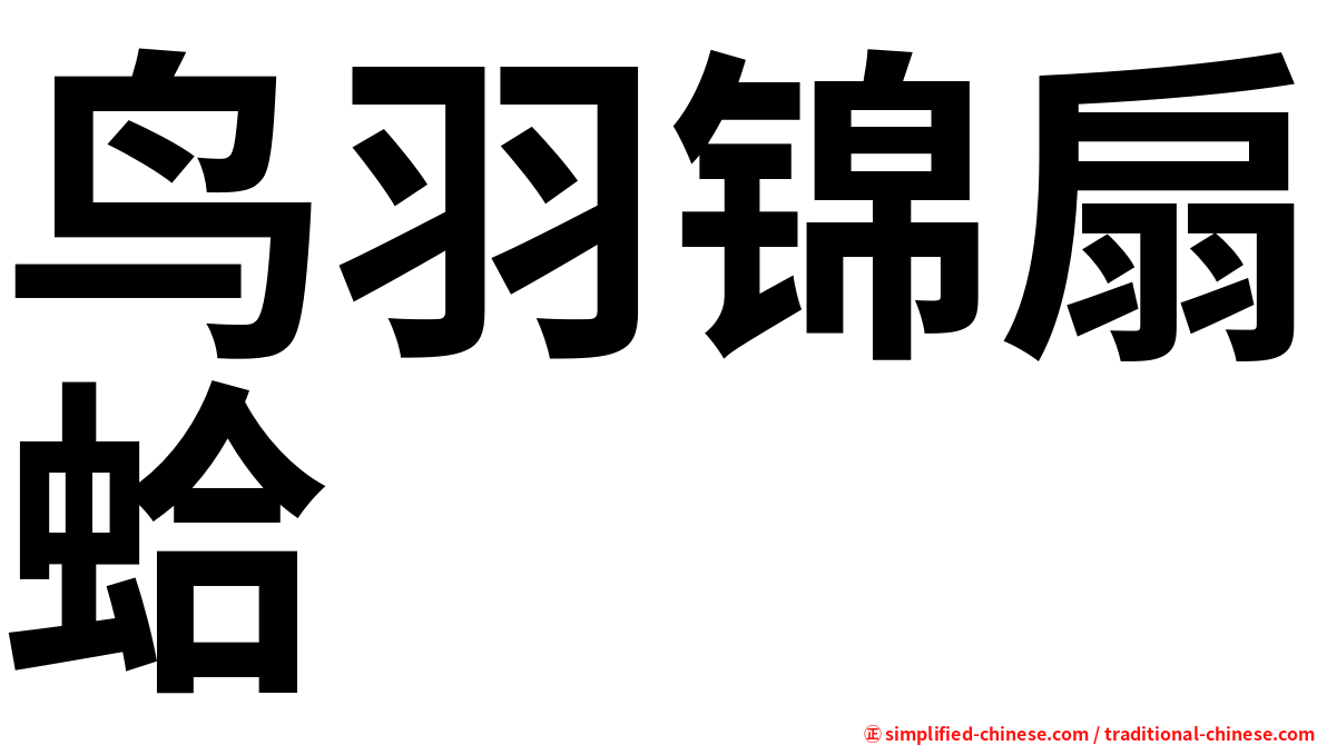 鸟羽锦扇蛤