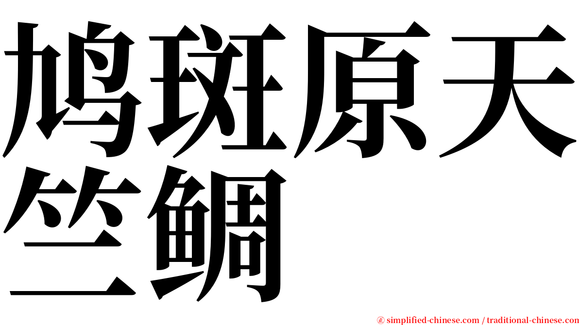鸠斑原天竺鲷 serif font
