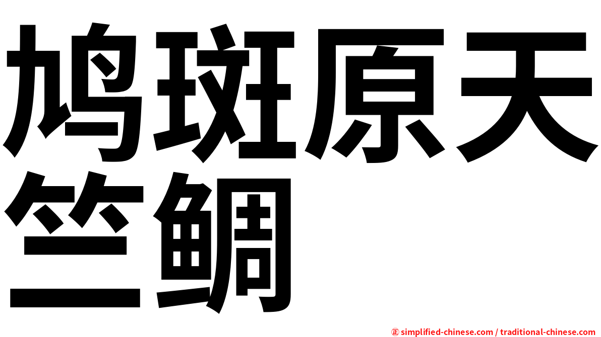 鸠斑原天竺鲷