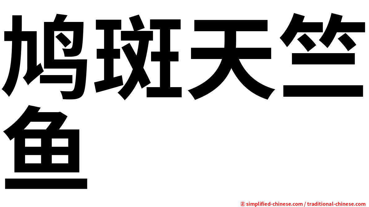 鸠斑天竺鱼