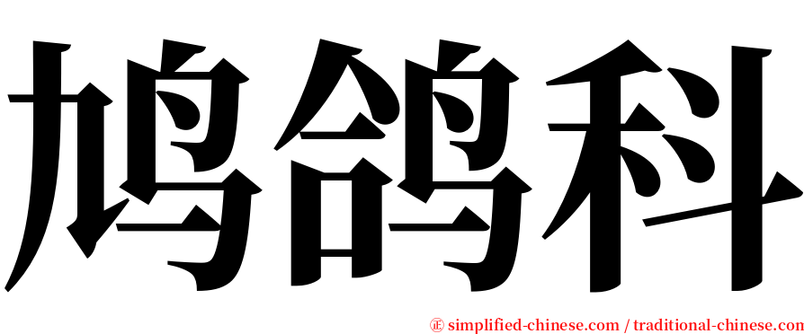 鸠鸽科 serif font