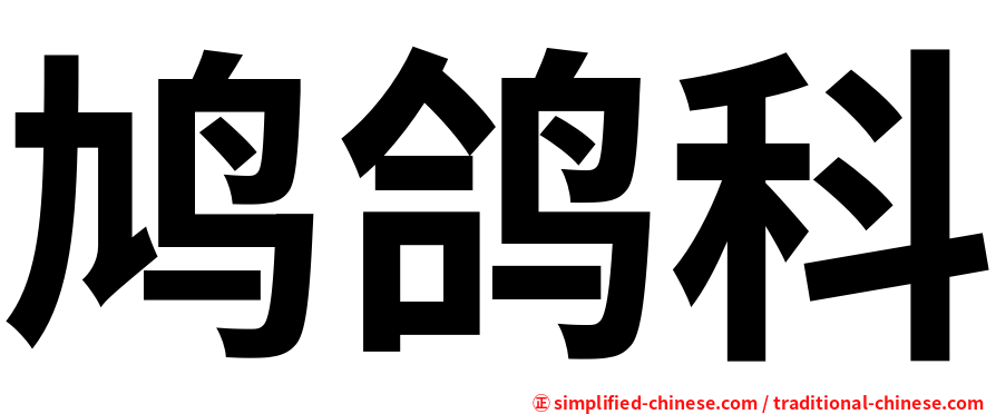 鸠鸽科