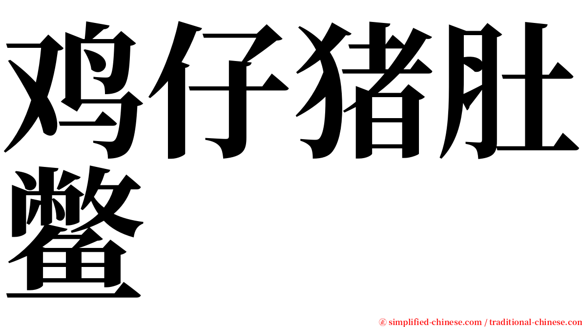 鸡仔猪肚鳖 serif font