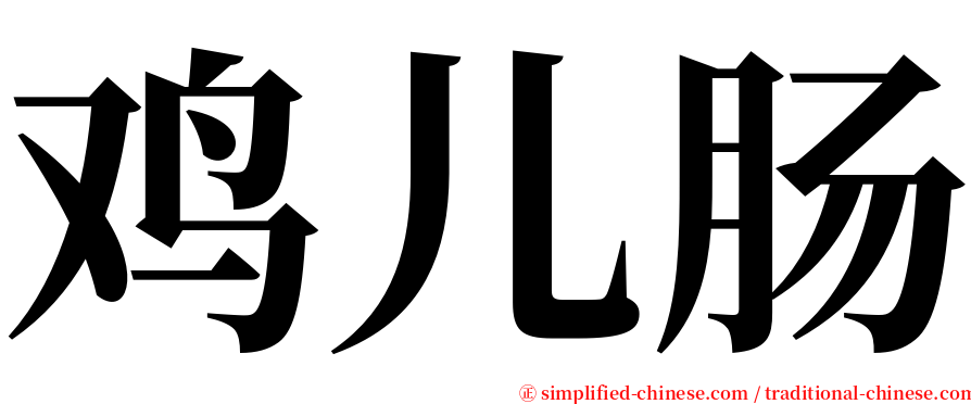 鸡儿肠 serif font