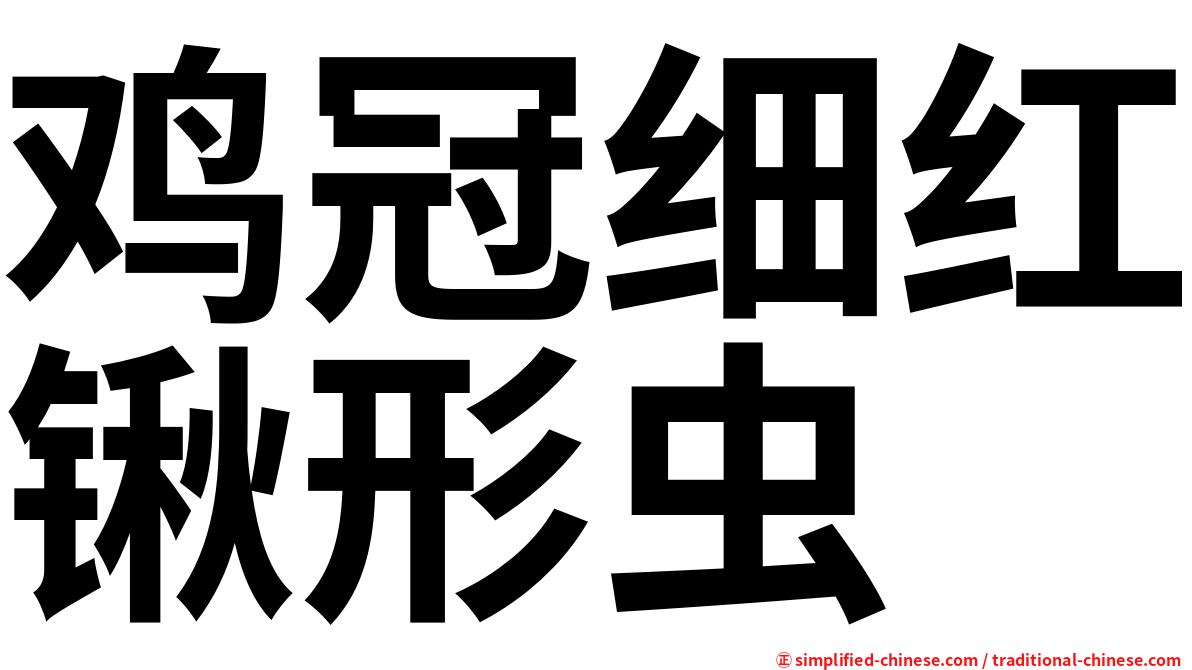 鸡冠细红锹形虫