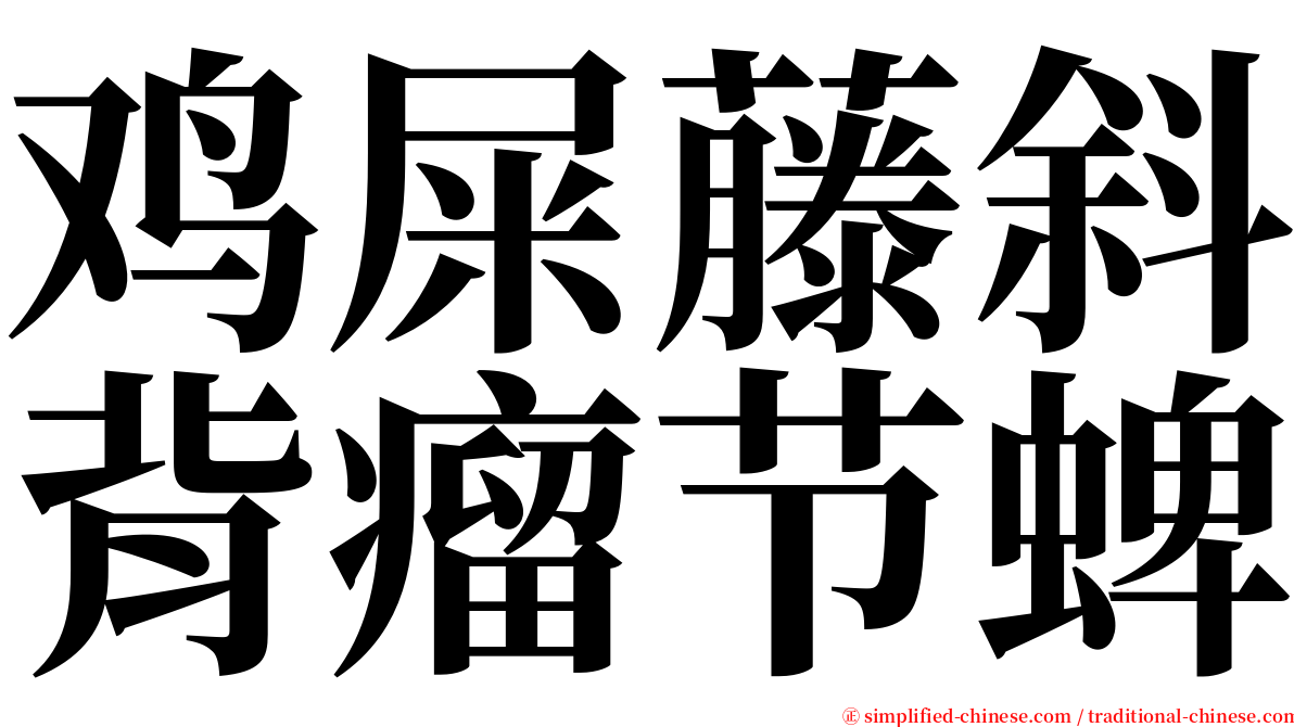鸡屎藤斜背瘤节蜱 serif font