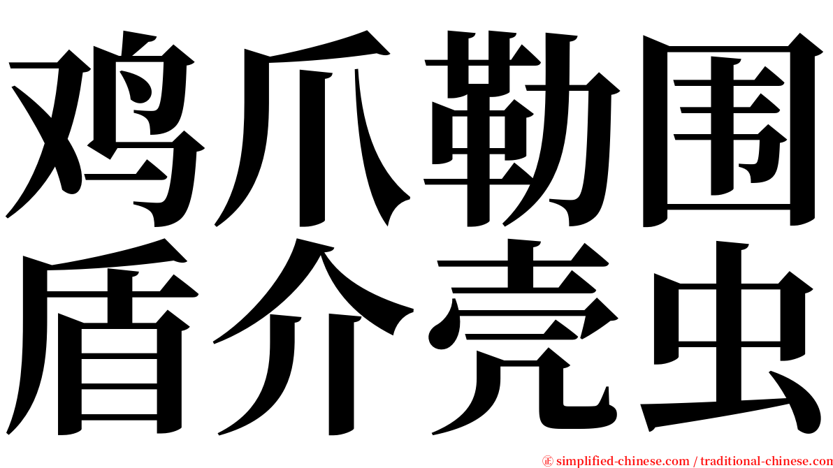 鸡爪勒围盾介壳虫 serif font