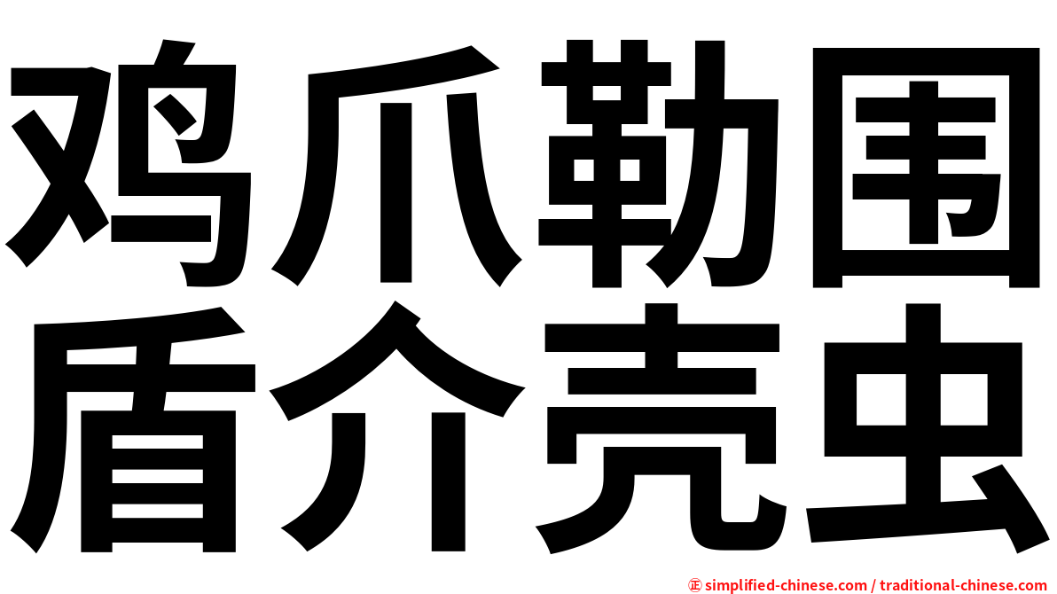鸡爪勒围盾介壳虫