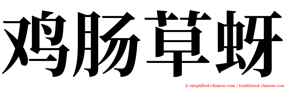 鸡肠草蚜 serif font