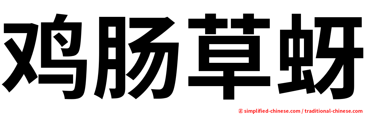 鸡肠草蚜