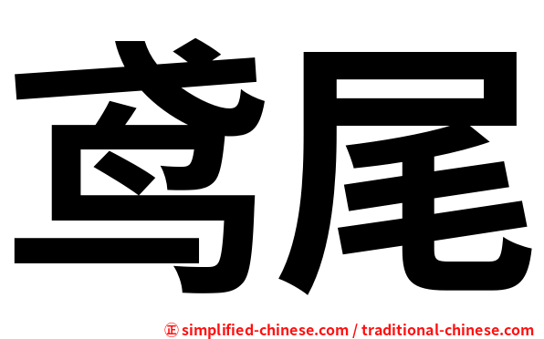 鸢尾