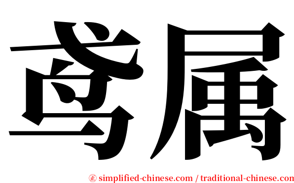 鸢属 serif font