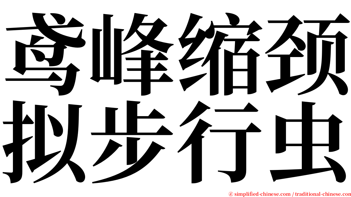 鸢峰缩颈拟步行虫 serif font
