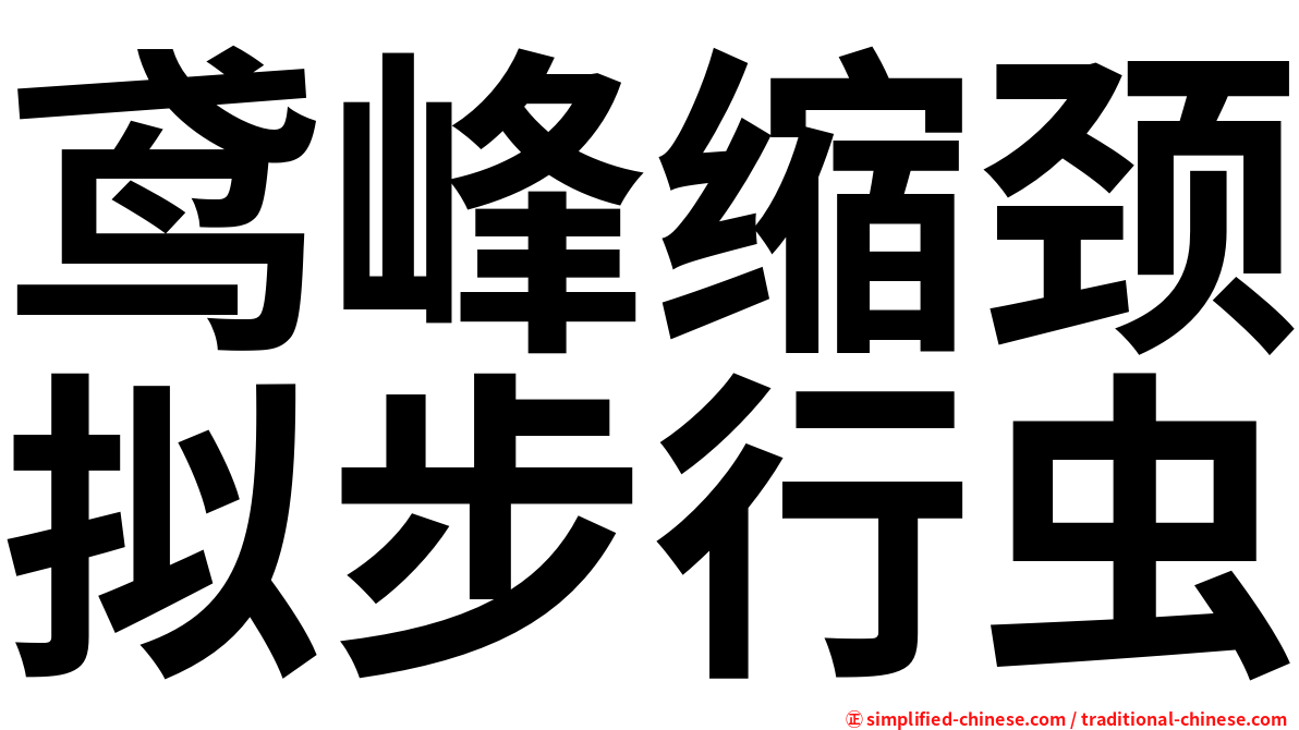 鸢峰缩颈拟步行虫