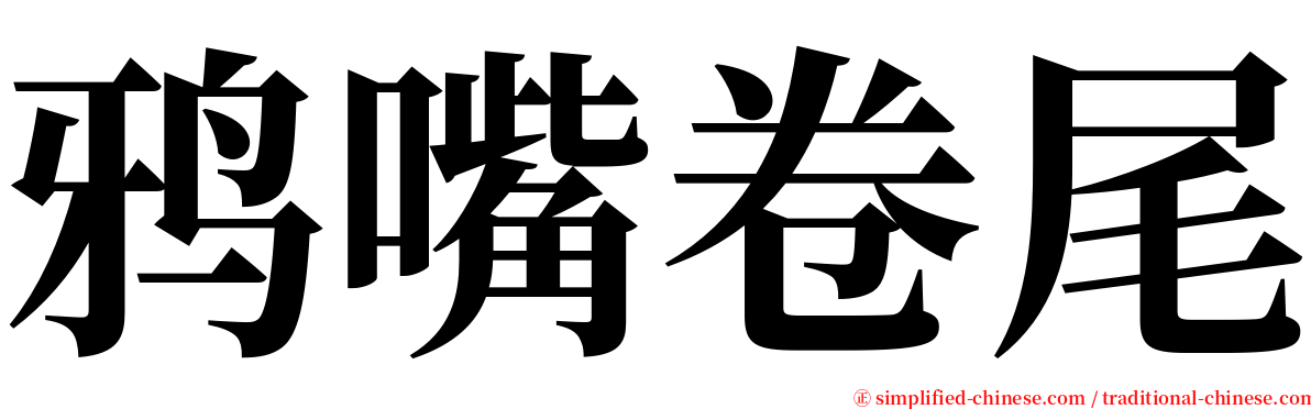 鸦嘴卷尾 serif font