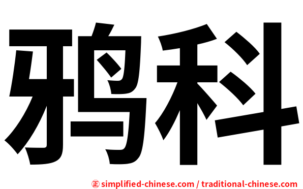 鸦科
