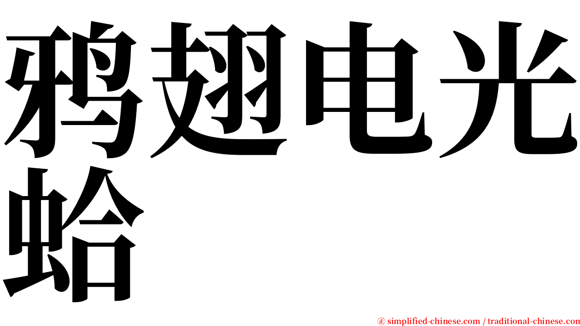 鸦翅电光蛤 serif font