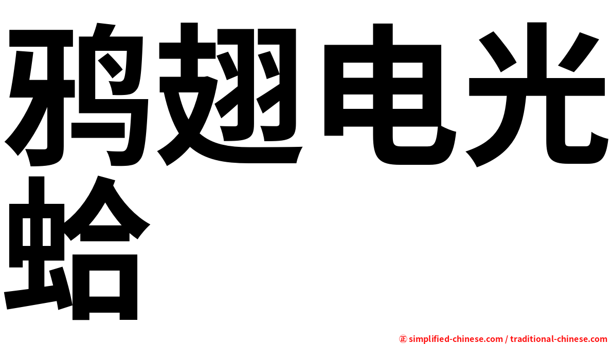 鸦翅电光蛤