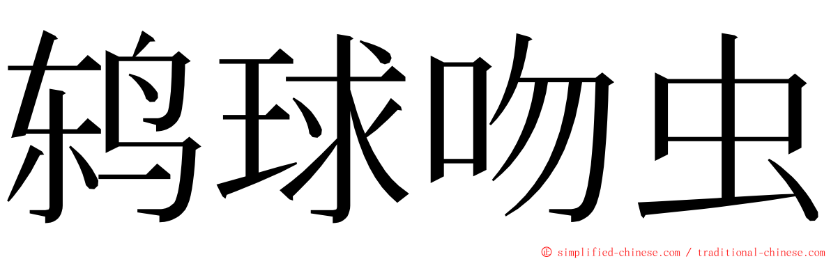 鸫球吻虫 ming font