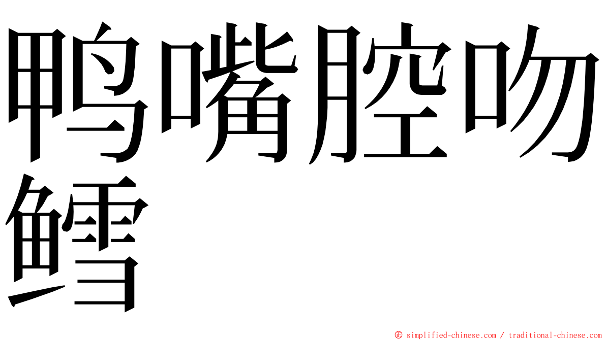 鸭嘴腔吻鳕 ming font