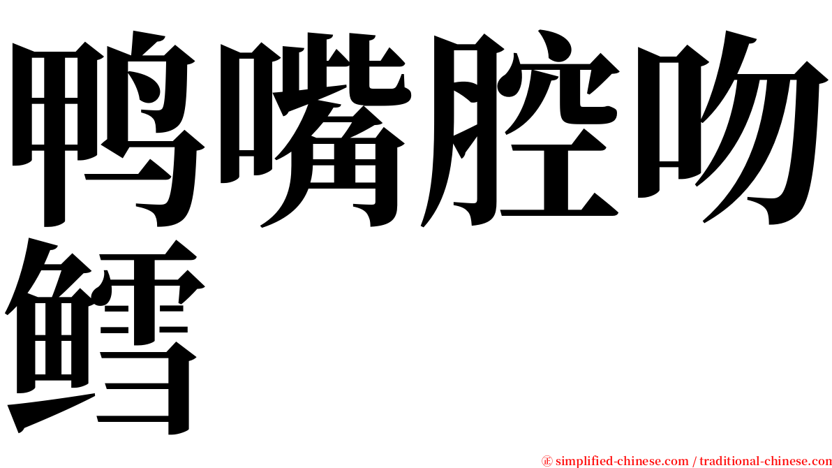鸭嘴腔吻鳕 serif font