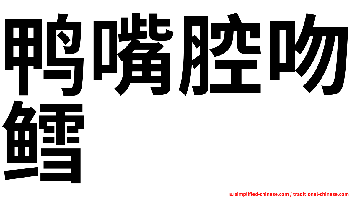 鸭嘴腔吻鳕