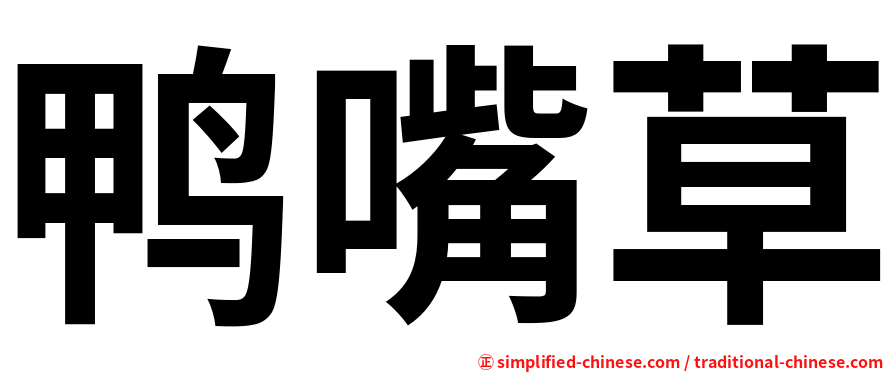鸭嘴草