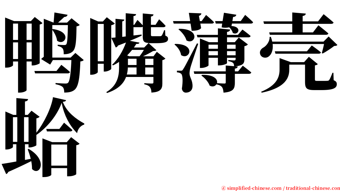 鸭嘴薄壳蛤 serif font