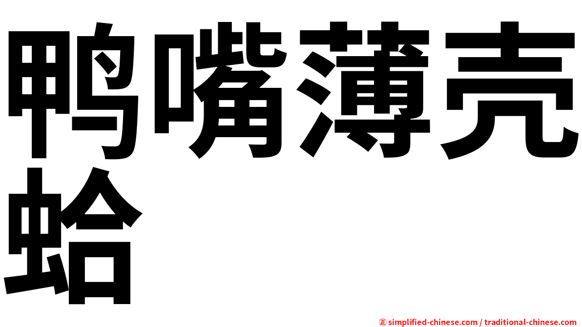 鸭嘴薄壳蛤