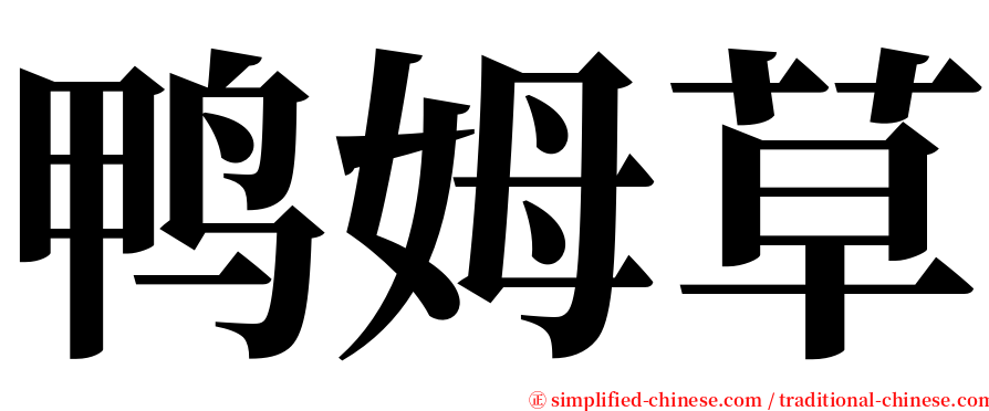 鸭姆草 serif font