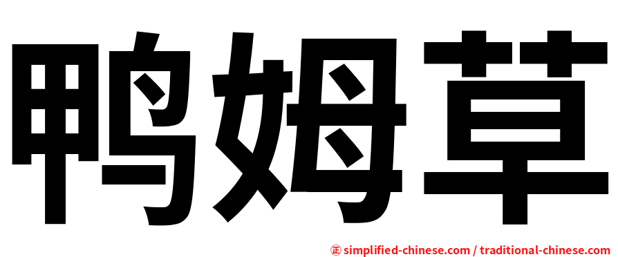 鸭姆草