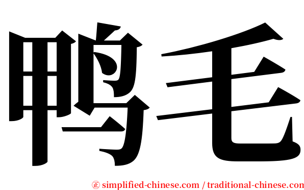 鸭毛 serif font
